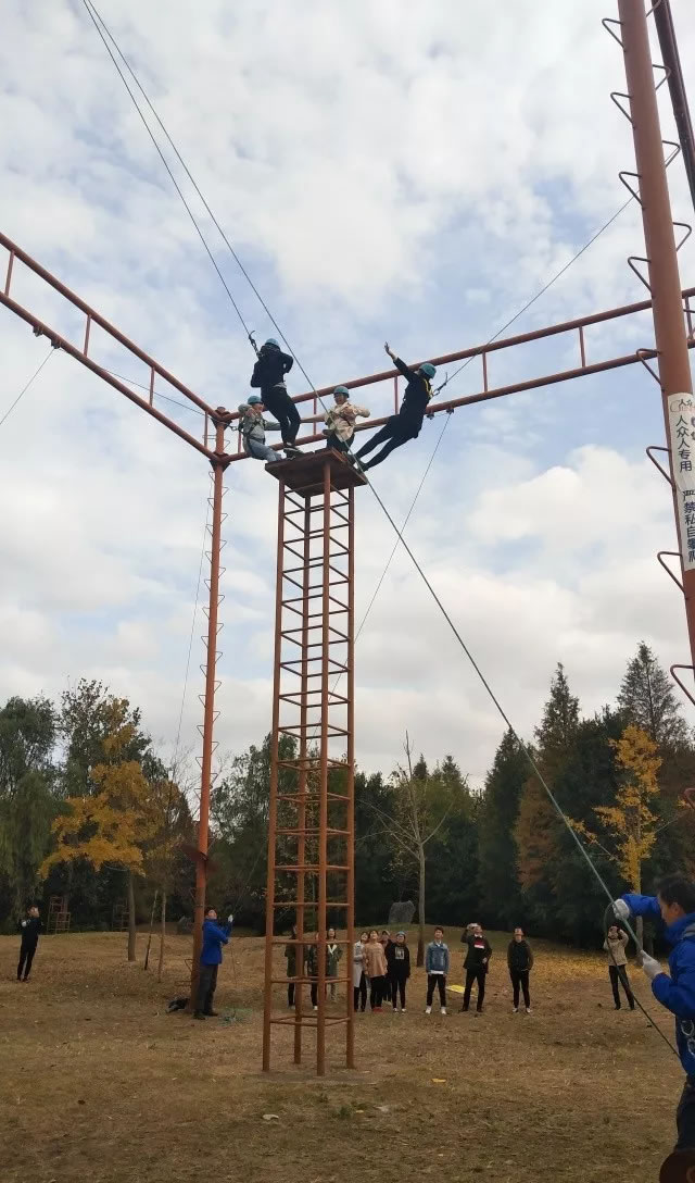 쵼ѵ